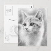 白い美しい子猫はがき ポストカード (正面/裏面)