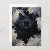 白い羽に囲まれた可愛い毛皮の黒猫 ポストカード (正面/裏面)