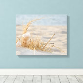 白い羽毛のビーチ キャンバスプリント (インサイチュ (ウッドフロア))