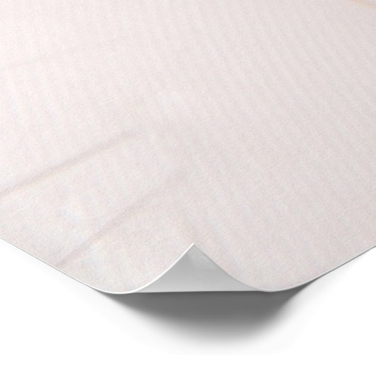 白い羽 ポスター (角)