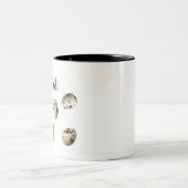 白い背景で新鮮なウズラの卵を分離 ツートーンマグカップ (中央)