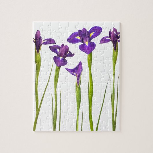 白い背景で隔離される紫色のアイリス ジグソーパズル (縦)