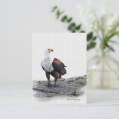 白い背景にアフリカのフィッシュイーグル ポストカード (スタンド正面)
