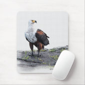 白い背景にアフリカのフィッシュイーグル マウスパッド (マウス)
