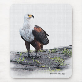 白い背景にアフリカのフィッシュイーグル マウスパッド