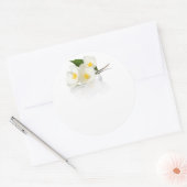白い背景にジャスミンの花。マクロショット ラウンドシール (封筒)