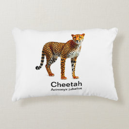 白い背景にチーズを乗せる アクセントクッション