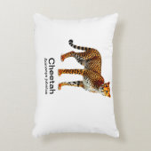 白い背景にチーズを乗せる アクセントクッション (正面(垂直))