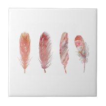 白い背景にピンクと珊瑚の羽毛