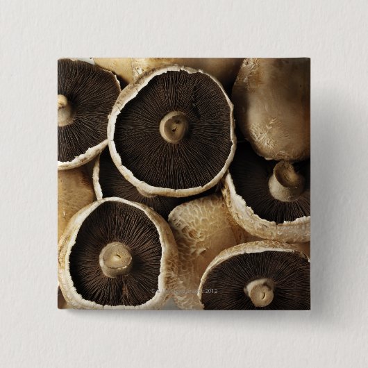 白い背景にポルトベロのキノコ 缶バッジ (正面)