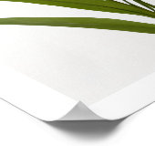 白い背景にミカンのユリが咲くポスター ポスター (角)