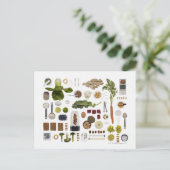 白い背景に健康的な食品網。 ポストカード (スタンド正面)