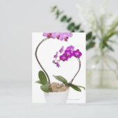 白い背景に分離されたフルフレームオーキッド ポストカード (スタンド正面)