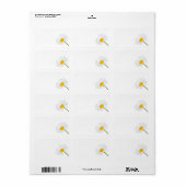 白い背景に孤立したカモミールの花 ラベル (フルシート)