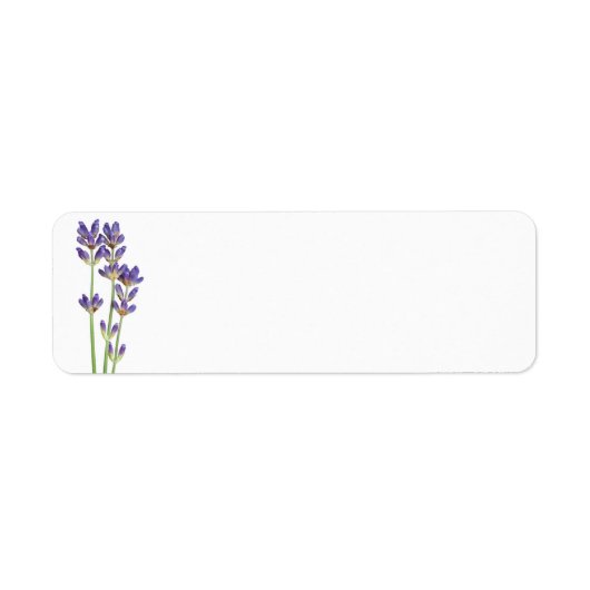 白い背景に孤立したラベンダーの花 ラベル (正面)