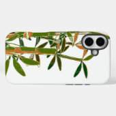 白い背景に孤立した緑の竹 Case-Mate iPhoneケース (裏面 (横))