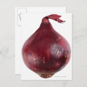 白い背景に孤立した赤い玉ねぎ、DFF ポストカード (正面/裏面)