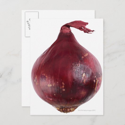 白い背景に孤立した赤い玉ねぎ、DFF ポストカード (正面/裏面)