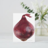 白い背景に孤立した赤い玉ねぎ、DFF ポストカード (スタンド正面)