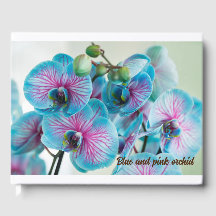 白い背景に孤立して咲く