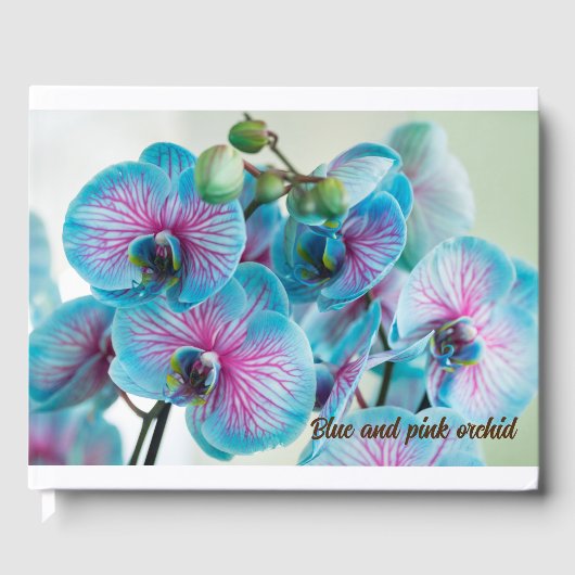 白い背景に孤立して咲く ゲストブック (正面)