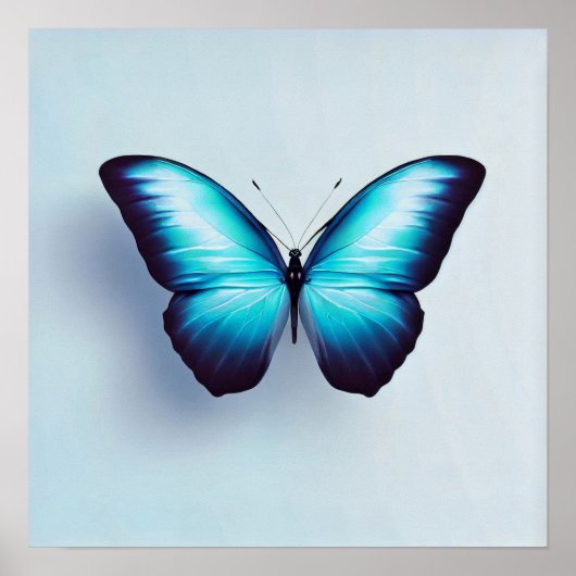 白い背景に対する蝶 ポスター (正面)