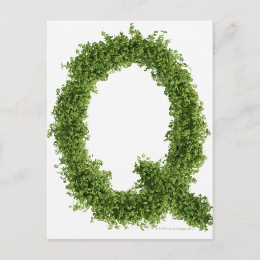 白い背景に文字「Q」 ポストカード (正面)