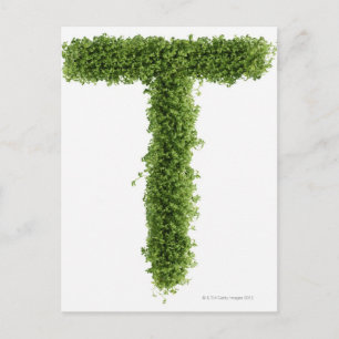 白い背景に文字「T」 ポストカード