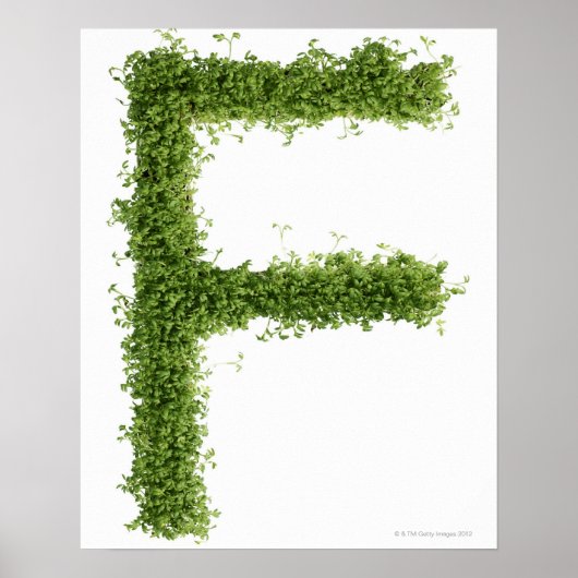 白い背景に文字'F'が入っている ポスター (正面)