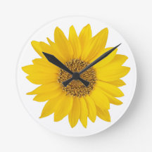 白い背景に明るい黄色のひまわり