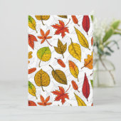 白い背景に秋の落ち葉 (スタンド正面)