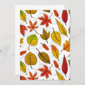 白い背景に秋の落ち葉 (正面/裏面)