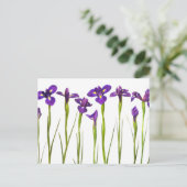 白い背景に紫の虹彩が孤立している ポストカード (スタンド正面)