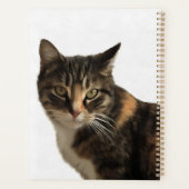 白い背景に芸術的Tabby Catポートレート プランナー手帳 (裏面)