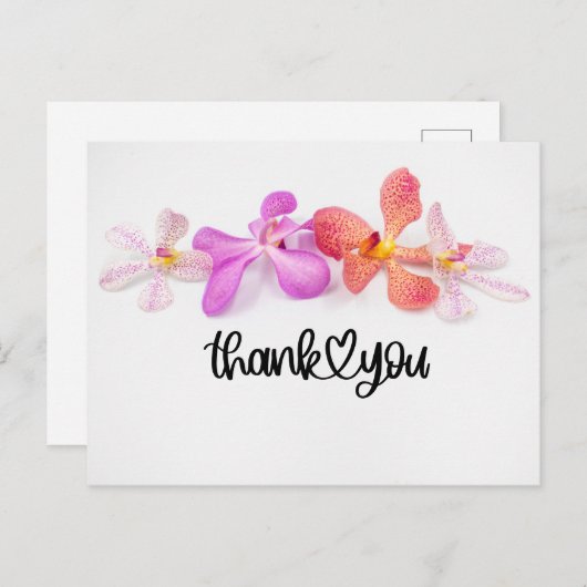 白い背景に蘭の花のサンキューカード ポストカード (正面/裏面)