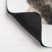 白い背景に2匹の子猫 マウスパッド (コーナー)