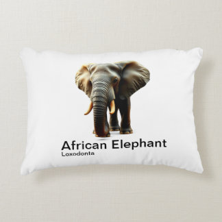 白い背景のアフリカ象 アクセントクッション