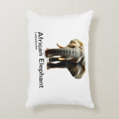 白い背景のアフリカ象 アクセントクッション (正面(垂直))