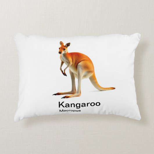 白い背景のカンガルー アクセントクッション (正面)