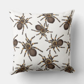 白い背景のタランチュラ クッション (裏面)