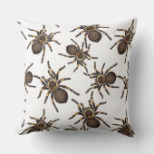 白い背景のタランチュラ クッション (正面)