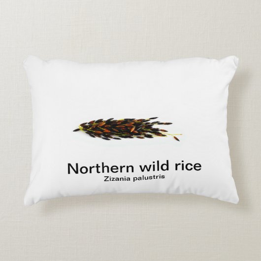 白い背景の北の野生米 アクセントクッション (正面)