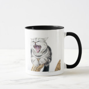 白い背景の灰色猫 マグカップ