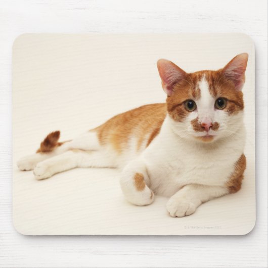 白い背景の猫 マウスパッド (正面)