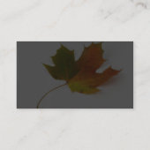 白い背景の着色されたカエデの葉を選抜して下さい 名刺 (裏面)