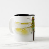 白い背景の緑のdarner (Anaxのjunius)、 ツートーンマグカップ (正面左)