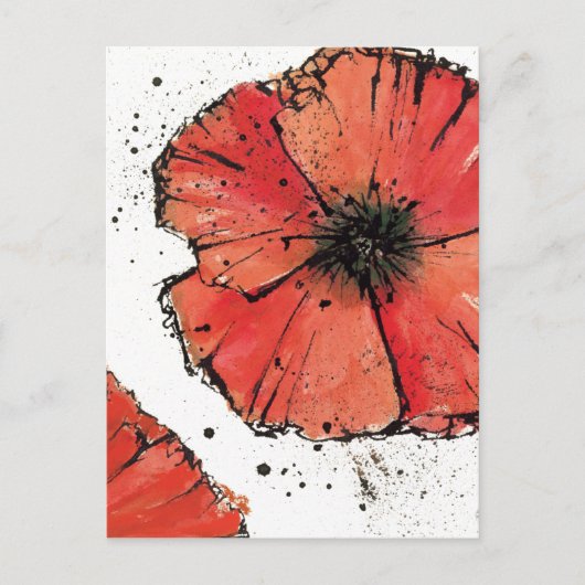 白い背景の花 ポストカード (正面)