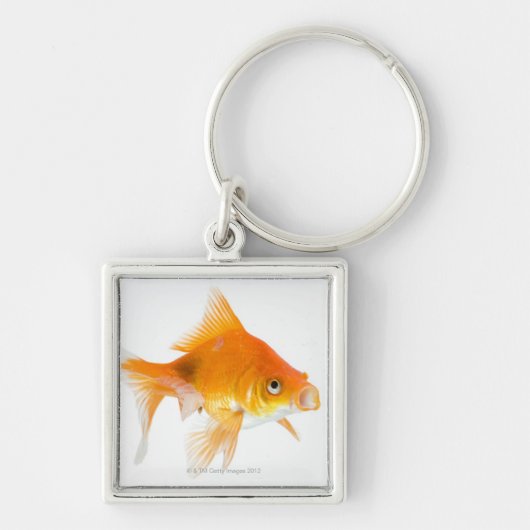 白い背景の金魚 キーホルダー (正面)