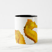 白い背景の2匹のタツノオトシゴのシュート ツートーンマグカップ (中央)