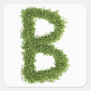 白い背景のcressの「B」に文字を入れて下さい、 スクエアシール